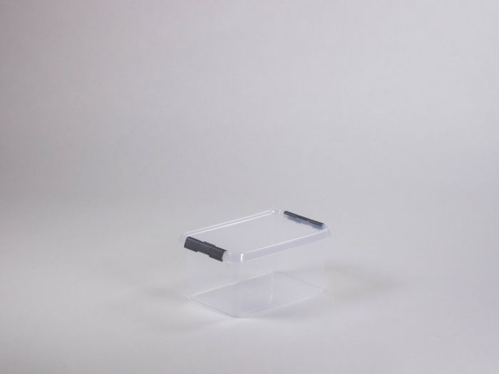 Boîte de rangement transparent avec couvercle 6L 307x200x143 mm