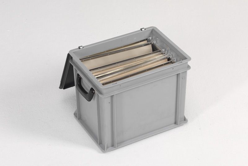 Finew Boîte de rangement pliable en tissu avec couvercle, matériau en cuir  amélioré, boîte à dossiers suspendus pour dossiers suspendus DIN A4, boîtes  de rangement pour bureau, boîte pliante pour : 
