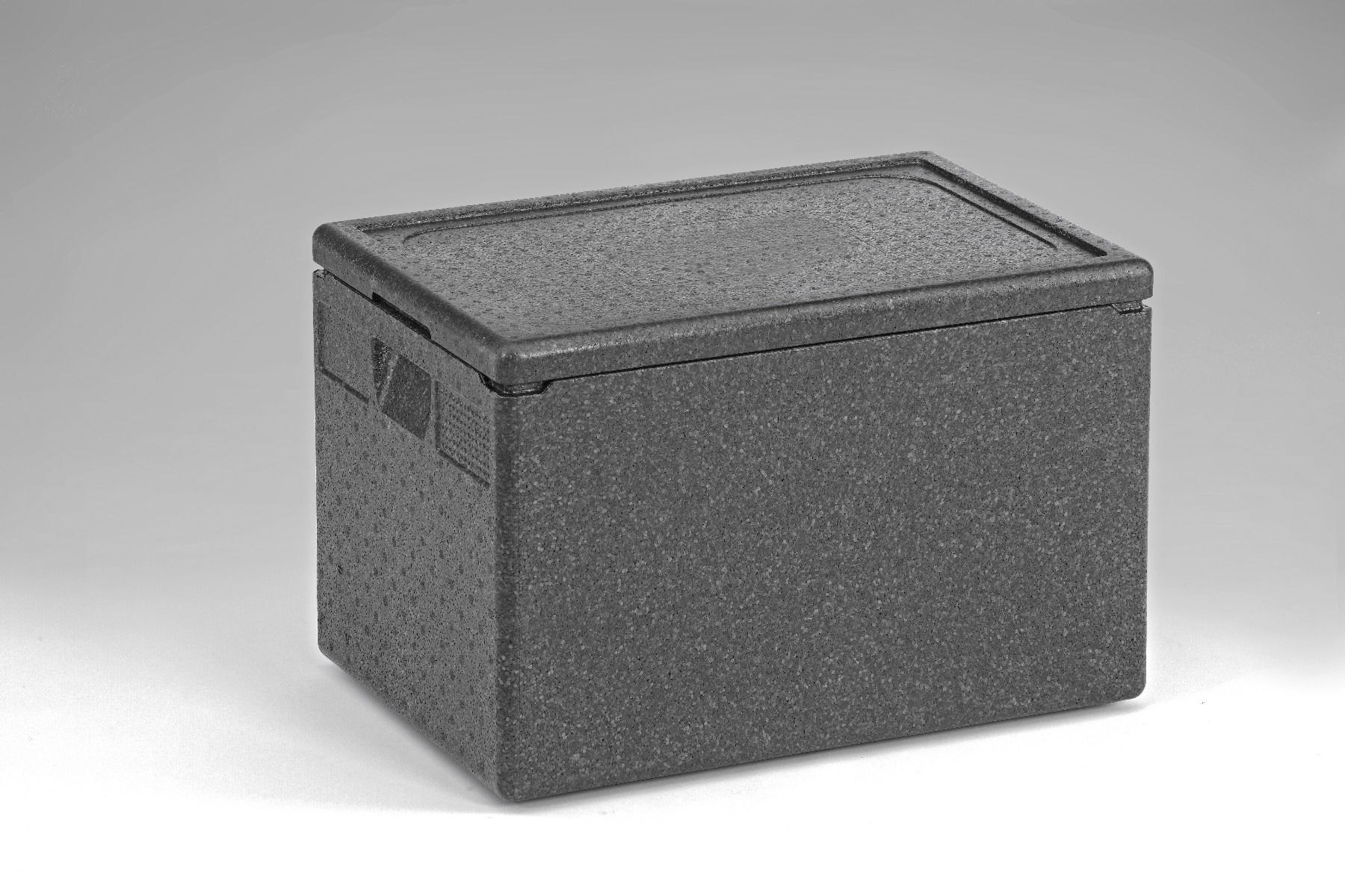 Thermo FutureBox - Glacière Isotherme Transport - 20L - Noir/Rose - Température -40°C à +120°C